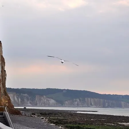 Grand Bord De Apartment Dieppe